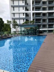 The Rise @ Oxley (D9), Condominium #466394751